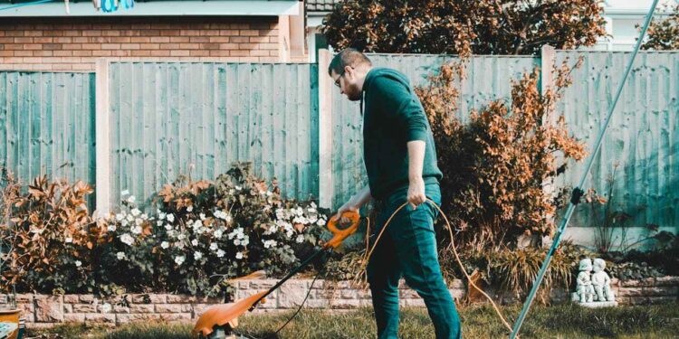 tips to make your yard look nice this autumn