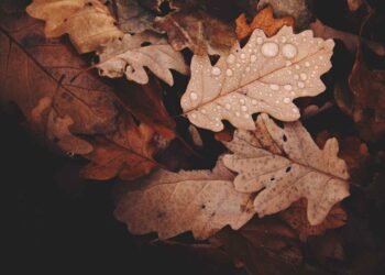 best things to do in autumn for an unforgettable season