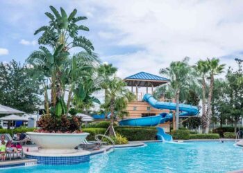 A water park at a family resort, surrounded by palm trees and a clear blue sky, inviting families to enjoy a fun experience.