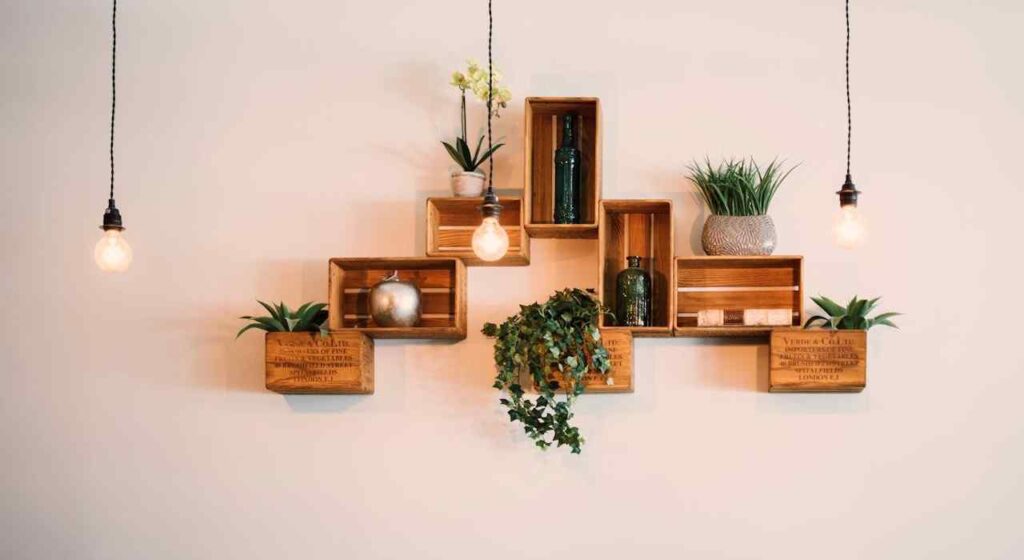 traditional interior design style Stylish wall decor features wooden box shelves with potted plants, bottles, and hanging bulbs. The arrangement creates a cozy, organic ambiance.